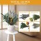 125 PCS Dried Eucalyptus Stems with Lavender Flowers Bundle for Shower,Natural Preserved Eucalyptus Leaves with Chrysanthemum flower Sachet Bundles for Home Wedding Fragrance Bathroom Table Vase Decor